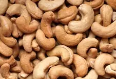 Premium Cashew nuts